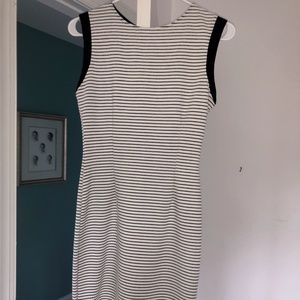 Bar lll Bodycon Dress